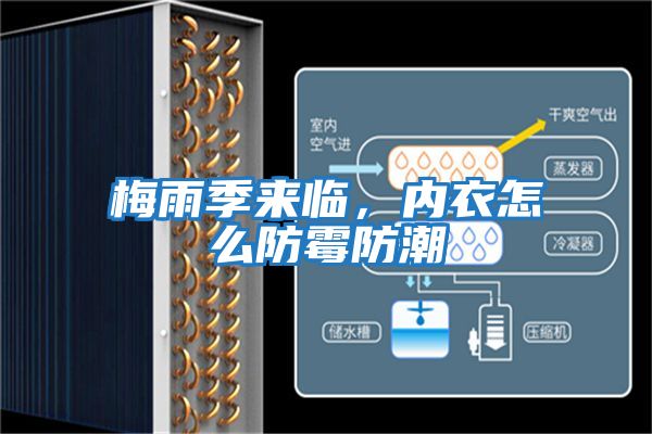 梅雨季來臨,內衣怎么防霉防潮