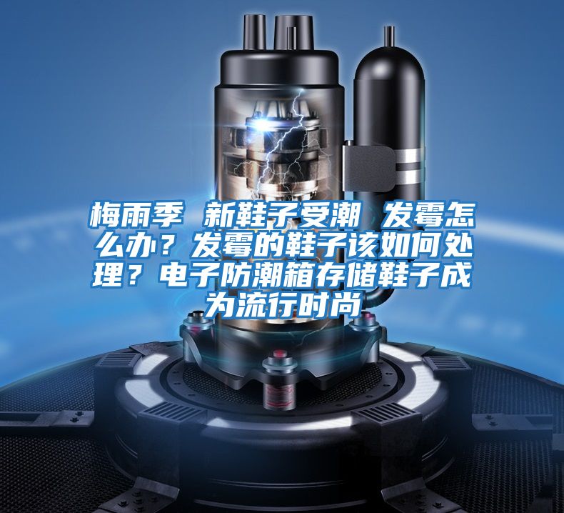 梅雨季 新鞋子受潮 發(fā)霉怎么辦？發(fā)霉的鞋子該如何處理？電子防潮箱存儲(chǔ)鞋子成為流行時(shí)尚