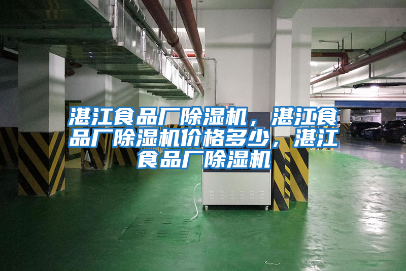 湛江食品廠除濕機，湛江食品廠除濕機價格多少，湛江食品廠除濕機