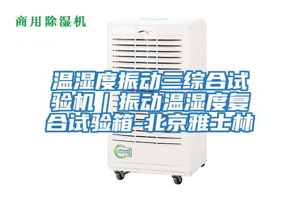 溫濕度振動三綜合試驗機｜振動溫濕度復(fù)合試驗箱-北京雅士林