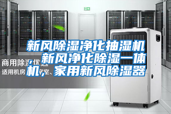 新風除濕凈化抽濕機，新風凈化除濕一體機，家用新風除濕器