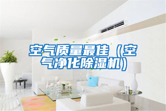 空氣質(zhì)量最佳(空氣凈化除濕機(jī))