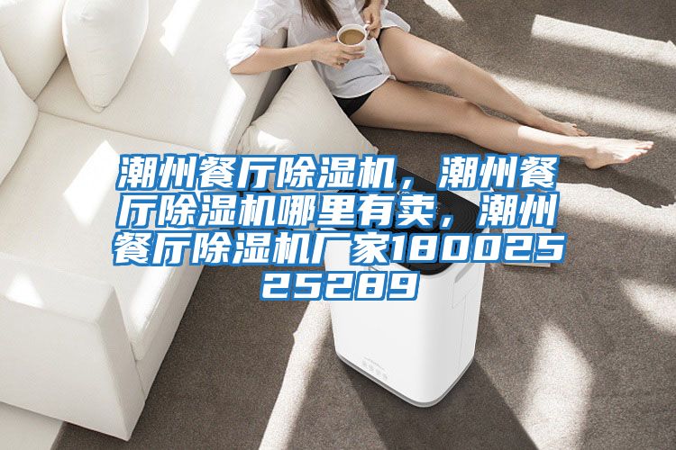 潮州餐廳除濕機(jī),潮州餐廳除濕機(jī)哪里有賣,潮州餐廳除濕機(jī)廠家18002525289