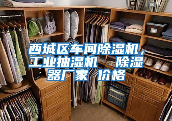西城區車間除濕機,工業抽濕機 除濕器廠家 價格