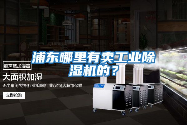 浦東哪里有賣工業除濕機的？