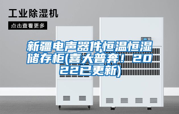 新疆電聲器件恒溫恒濕儲存柜(喜大普奔！2022已更新)