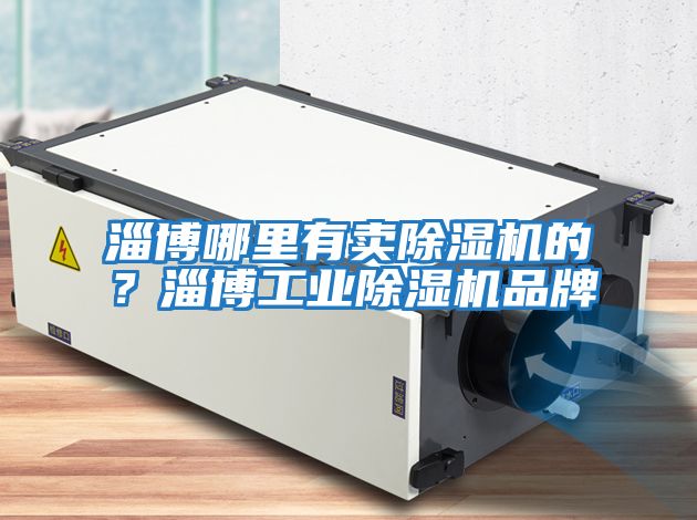 淄博哪里有賣除濕機(jī)的?淄博工業(yè)除濕機(jī)品牌