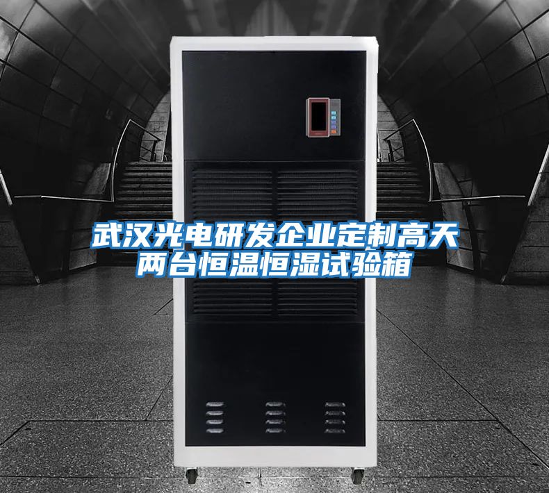 武漢光電研發企業定制高天兩臺恒溫恒濕試驗箱