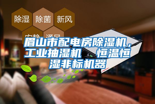 眉山市配電房除濕機，工業抽濕機  恒溫恒濕非標機器