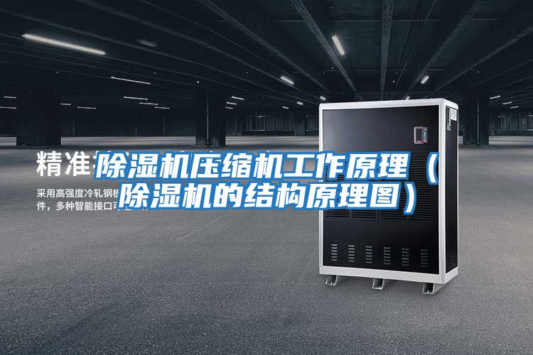 除濕機壓縮機工作原理（除濕機的結構原理圖）