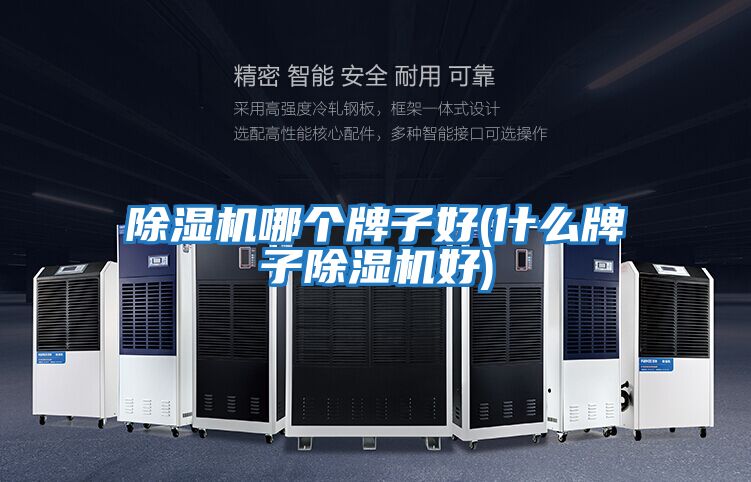 除濕機(jī)哪個(gè)牌子好(什么牌子除濕機(jī)好)