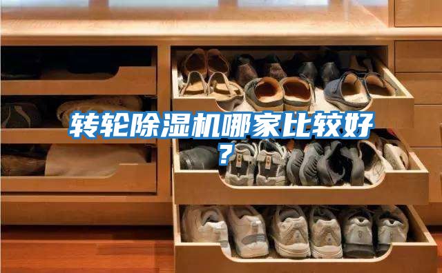 轉輪除濕機哪家比較好？