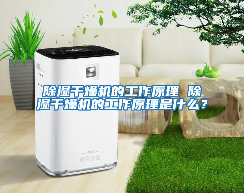 除濕干燥機的工作原理 除濕干燥機的工作原理是什么?