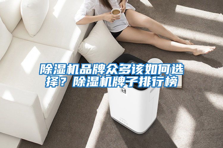 除濕機品牌眾多該如何選擇？除濕機牌子排行榜