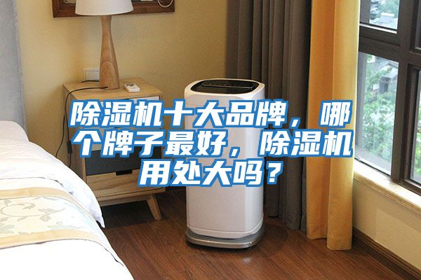 除濕機(jī)十大品牌，哪個牌子最好，除濕機(jī)用處大嗎？