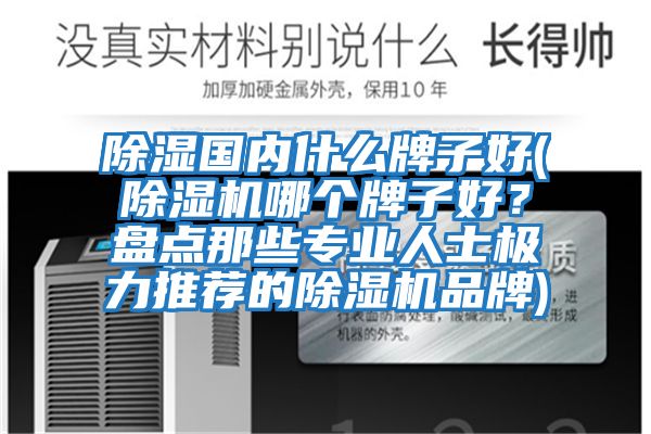 除濕國內什么牌子好(除濕機哪個牌子好?盤點那些專業人士極力推薦的除濕機品牌)