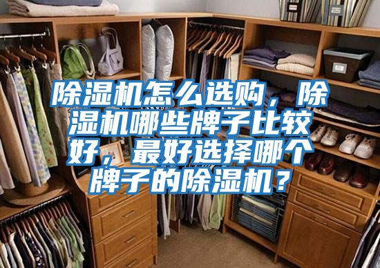 除濕機(jī)怎么選購(gòu)，除濕機(jī)哪些牌子比較好，最好選擇哪個(gè)牌子的除濕機(jī)？