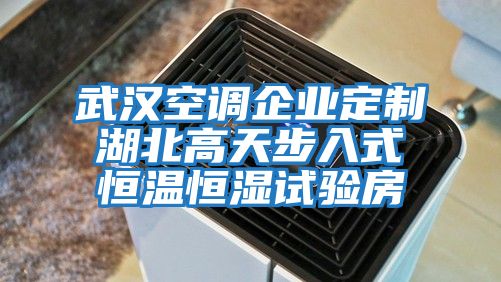 武漢空調企業定制湖北高天步入式恒溫恒濕試驗房