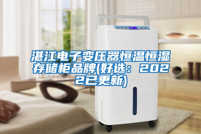 湛江電子變壓器恒溫恒濕存儲(chǔ)柜品牌(好選:2022已更新)