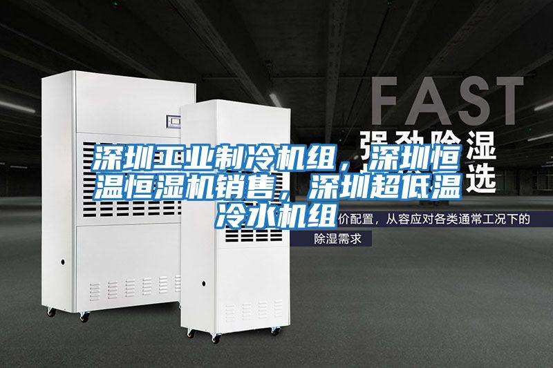 深圳工業(yè)制冷機(jī)組,深圳恒溫恒濕機(jī)銷售,深圳超低溫冷水機(jī)組