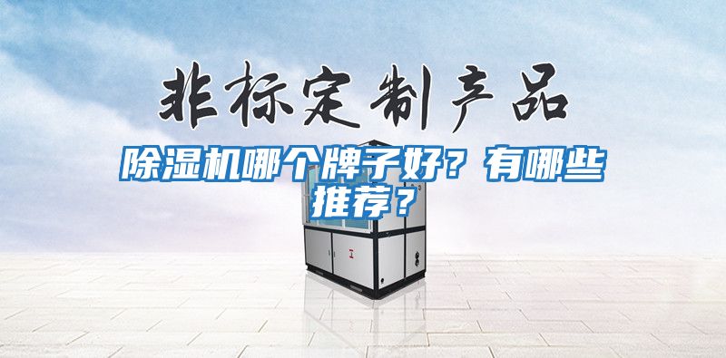 除濕機(jī)哪個(gè)牌子好？有哪些推薦？