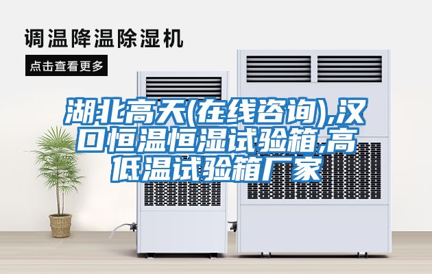 湖北高天(在線(xiàn)咨詢(xún)),漢口恒溫恒濕試驗(yàn)箱,高低溫試驗(yàn)箱廠家