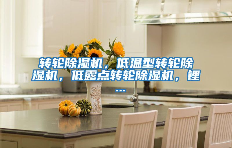 轉輪除濕機，低溫型轉輪除濕機，低露點轉輪除濕機，鋰 ...