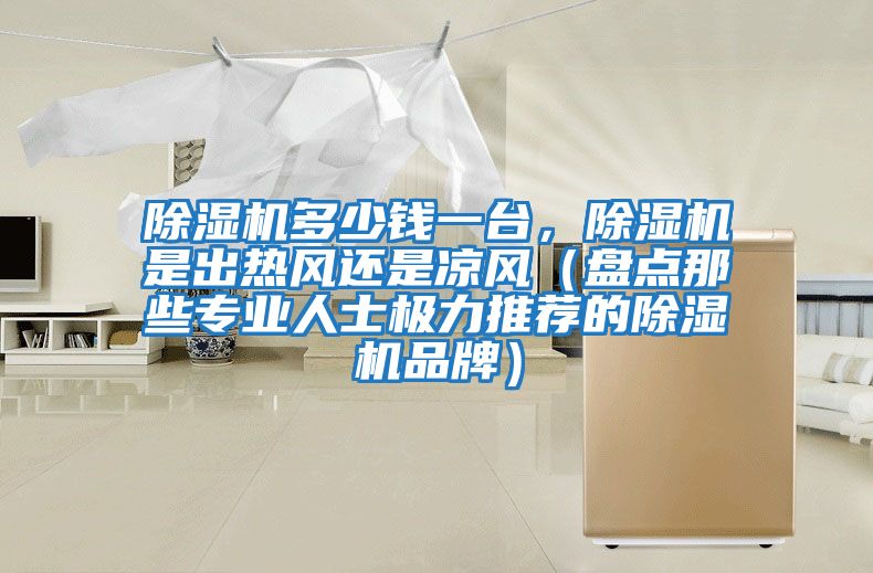 除濕機(jī)多少錢一臺,除濕機(jī)是出熱風(fēng)還是涼風(fēng)(盤點(diǎn)那些專業(yè)人士極力推薦的除濕機(jī)品牌)