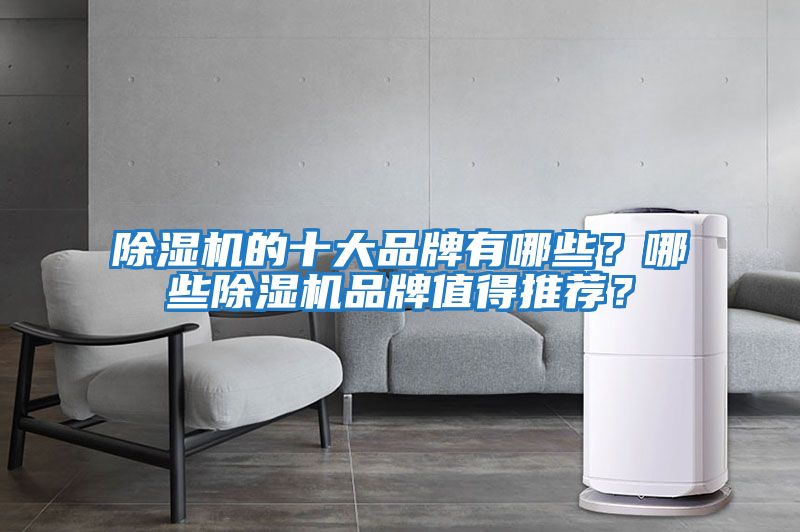 除濕機(jī)的十大品牌有哪些?哪些除濕機(jī)品牌值得推薦?