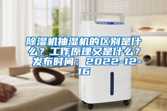 除濕機抽濕機的區別是什么？工作原理又是什么？ 發布時間：2022-12-16