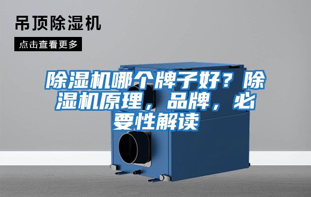 除濕機(jī)哪個(gè)牌子好？除濕機(jī)原理，品牌，必要性解讀