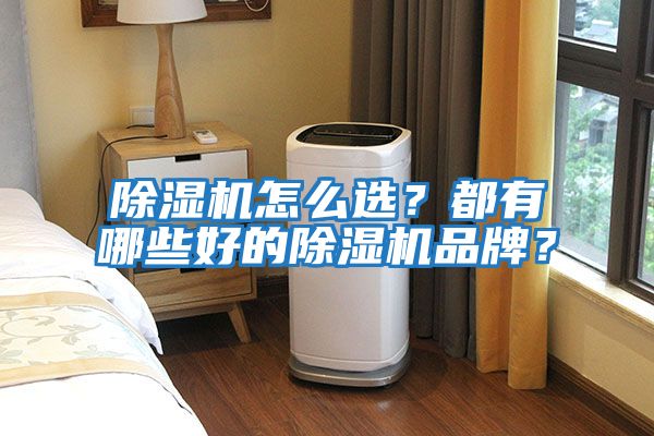 除濕機(jī)怎么選？都有哪些好的除濕機(jī)品牌？