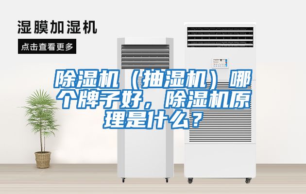 除濕機（抽濕機）哪個牌子好，除濕機原理是什么？