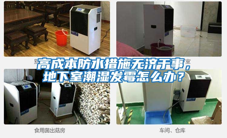 高成本防水措施無濟于事，地下室潮濕發霉怎么辦？