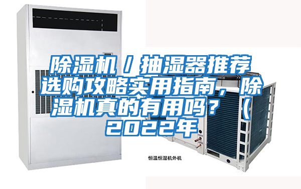 除濕機(jī)／抽濕器推薦選購攻略實(shí)用指南，除濕機(jī)真的有用嗎？（2022年