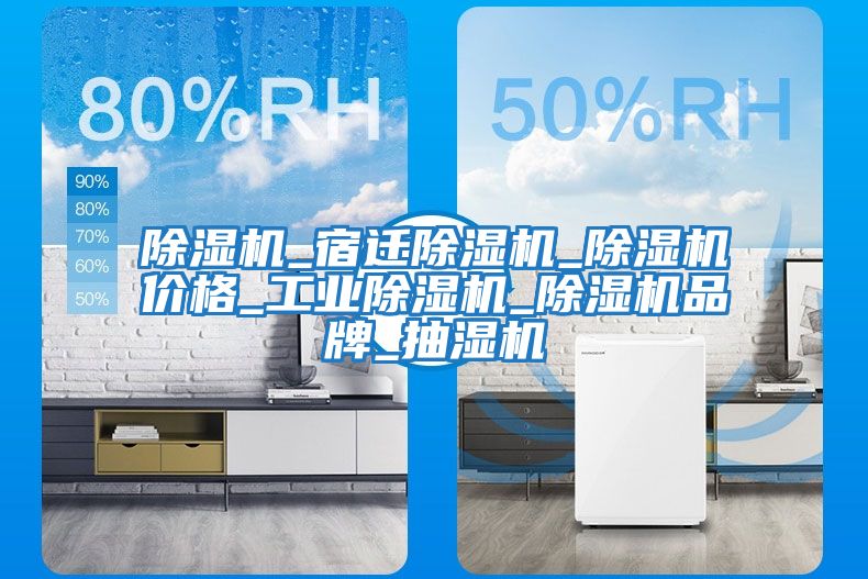 除濕機_宿遷除濕機_除濕機價格_工業除濕機_除濕機品牌_抽濕機