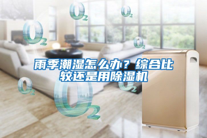 雨季潮濕怎么辦?綜合比較還是用除濕機