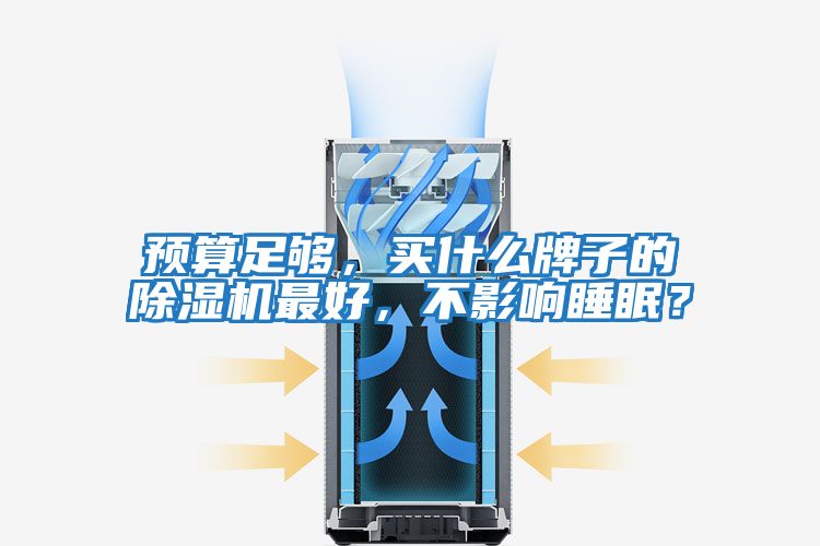 預算足夠，買什么牌子的除濕機最好，不影響睡眠？