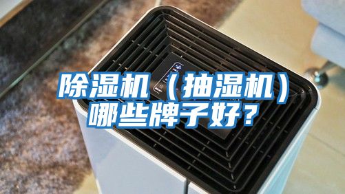 除濕機（抽濕機）哪些牌子好？